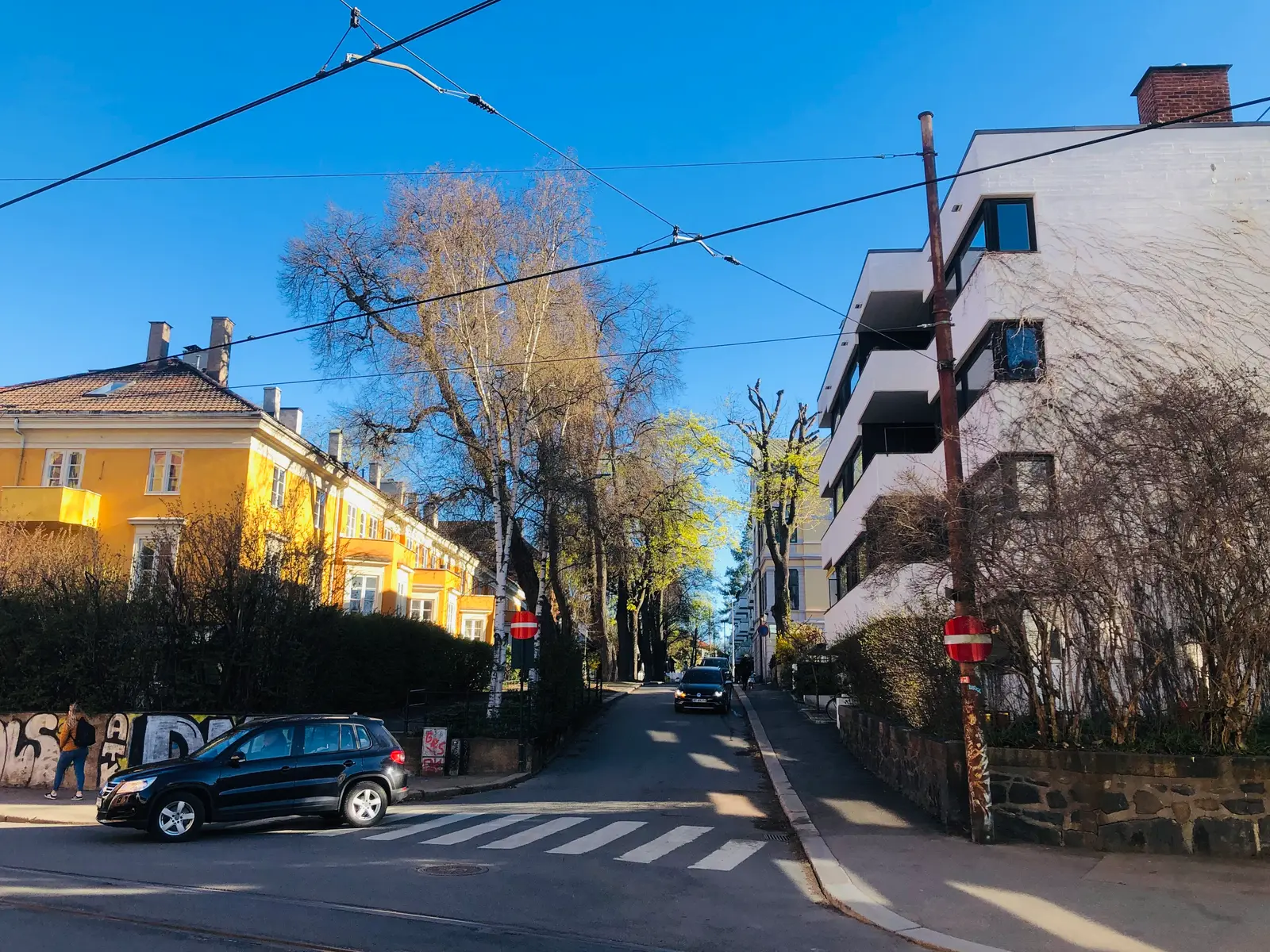 Lille Frogner allé med villaer og funkisblokk